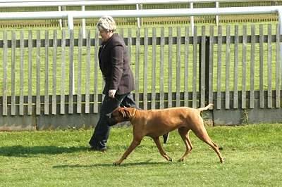 Lotti Winning Open at Bury St Edmunds April 2005