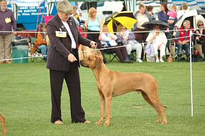 Winning Post Graduate Dog June 05